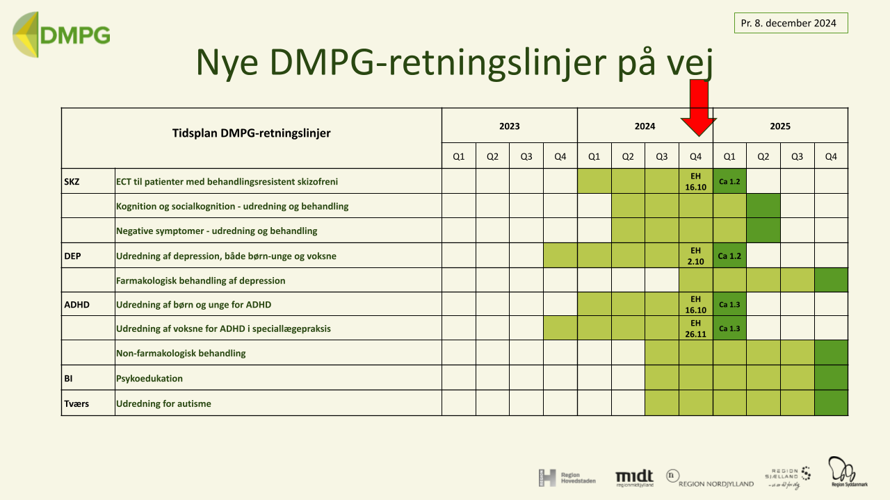 Oversigt over DMPG-retningslinjer på vej